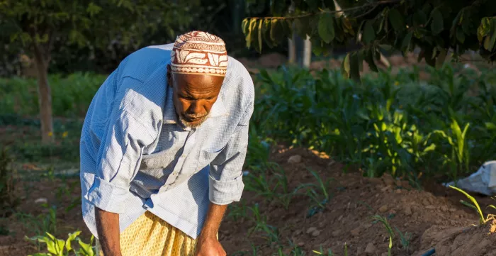 Farmer in his field