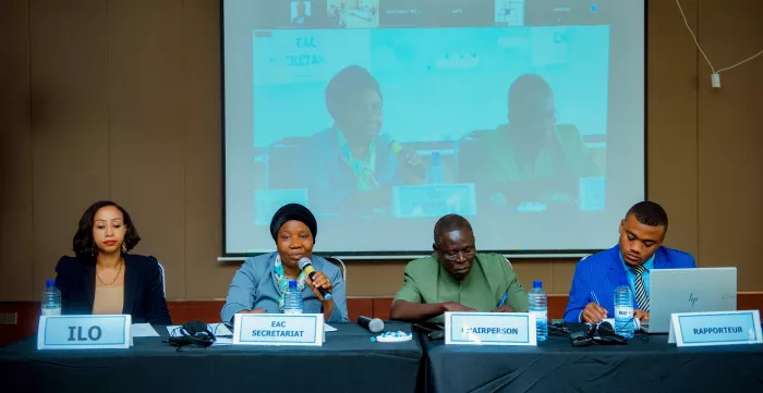 Delegates chairing a meeting of experts