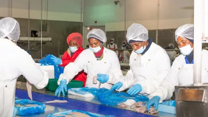 Women wearing uniform cleaning fish