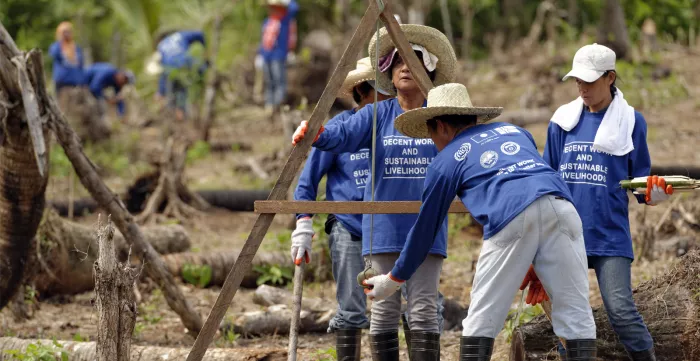 Workers in emergency employment rebuild after Super Typhoon Haiyan using the slope agriculture land technology to prevent soil erosion.