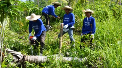 Four Filipino workers cutting fallen coconut trees